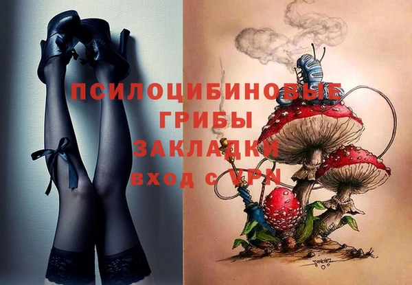кокс Алексин