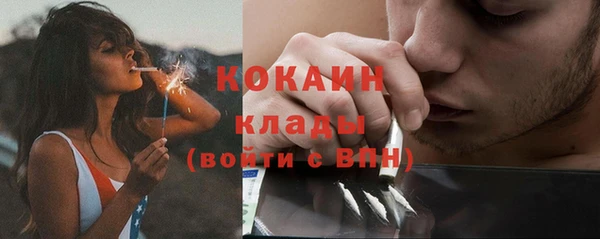 кокс Алексин