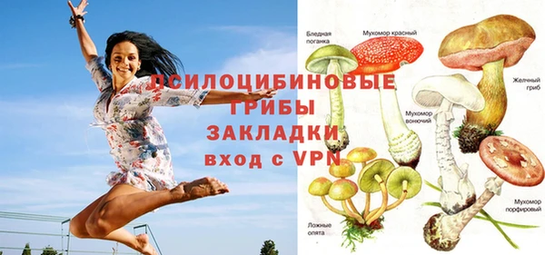 кокс Алексин
