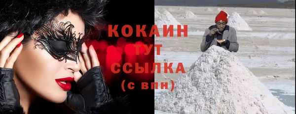 кокс Алексин